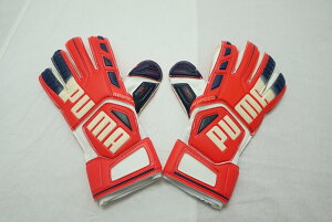 yPUMAv[}@L[p[O[uzGHXs[h 3.3@uCgvY}×s[R[g@041016-03 TbJ[@tbgT@GKO[u@L[p[