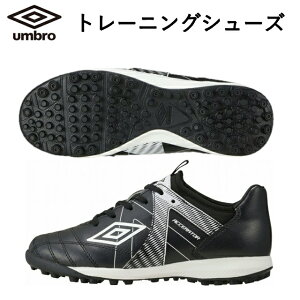 ANZC^[ TR JR WIDE Au g[jOV[Y UF5SFCT2J-1 TbJ[ WjA UMBRO }` Ch ACCERATOR