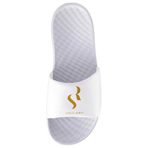 SR4 �X���C�h