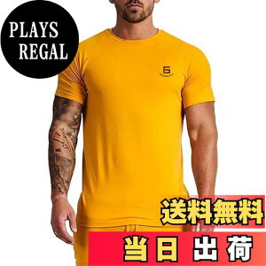 yz[KULIXI] g[jOEFA Y W tVc X|[c Xgb`  ێ ؃g tBbglX JWA ANeBu TVc gbvX 傫ȃTCY 516 FF516(CG[