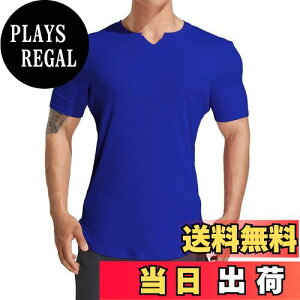 yz[KULIXI] W TVc Y XgCv Xgb`  X|[c g[jOEFA ؃g tBbglX Vc jO n Ci[ 傫TCY 5318 FF5311(u[)