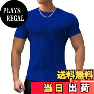 yz[KULIXI] W TVc Y XgCv Xgb`  X|[c g[jOEFA ؃g tBbglX Vc jO n Ci[ 傫TCY 5318 FF5318(u[)