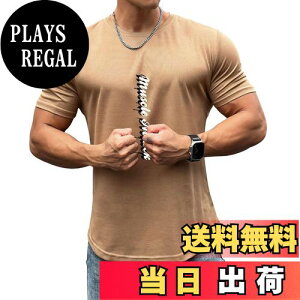yz[KULIXI] W TVc Y g[jOEFA Xgb`  X|[c ؃g tBbglX Vc jO Ci[ gbvX 傫TCY 5368 FF5369(J[L)ATC
