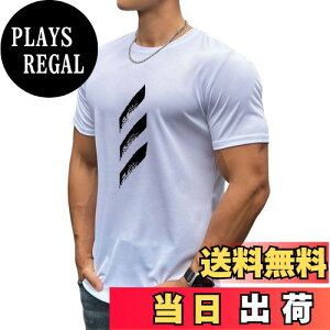 yz[KULIXI] W TVc Y g[jOEFA Xgb`  X|[c ؃g tBbglX Vc jO Ci[ gbvX 傫TCY 5368 FF5368(zCg)AT