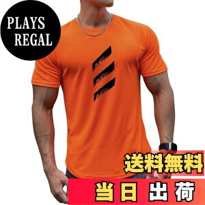 yz[KULIXI] W TVc Y g[jOEFA Xgb`  X|[c ؃g tBbglX Vc jO Ci[ gbvX 傫TCY 5368 FF5368(IW)AT