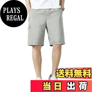 yz[JoveJek] V[gpc Y n[tpc J[Spc 100 Wbp[|Pbg h[XgO Xgb`  _炩 z  n ܕ V[c 傫T