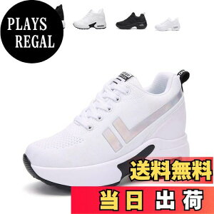 yz[ziitop] Xj[J[ fB[X Cq[Xj[J[ EH[LOV[Y r V[NbgV[Y y V[Y [XAbv 8cm q[Abv r ɂ 