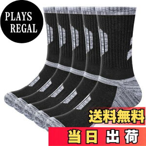 yz[YUEDGE] Y C   NbV oR X|[c\bNX ƌC 5 23-30cm FFATCYF28.0-30.0 cm