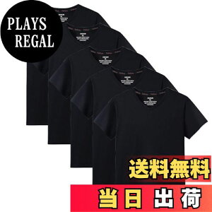 【送料無料】Sukinana インナーシャツ メンズ 肌着 5枚組 綿100% Vネック tシャツ 半袖 防菌防臭 クセになる肌触り 無地 メンズ 服 色:ブラック、サイズ:XL