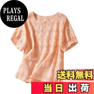 yz[YASHIGE] uEX fB[X  Vc gbvX [X    Ȗ ʋC n ԕ JWA f[g ʊw  FFIWATCYF2L