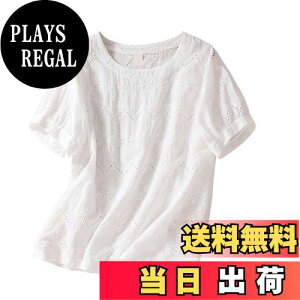 yz[YASHIGE] uEX fB[X  Vc gbvX [X    Ȗ ʋC n ԕ JWA f[g ʊw  FFzCgATCYFM