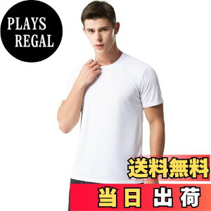 yz[Rovidorx] tVc Y   hCtVc X|[ctVc 傫TCY eB[Vc jOEFA g[jOEFA K n ⊴ z FFzCgA