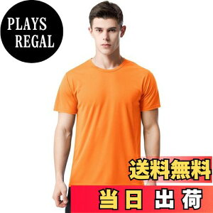 yz[Rovidorx] tVc Y   hCtVc X|[ctVc 傫TCY eB[Vc jOEFA g[jOEFA K n ⊴ z FFIWA