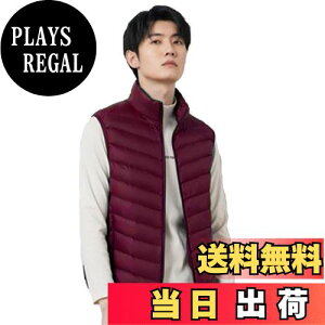 【送料無料】WOFOSY ダウンベスト メンズ 超軽量 登山 暖かい ウルトラライト ベスト おしゃれ コンパクト収納 カジュアル 通勤 旅行 春秋冬 SY212 色:レッド、サイズ:3XL