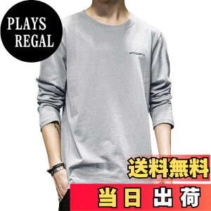 yz[OKJCON] tVc Y  tH n   傫TCY FFCgO[ATCYFM