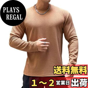 yz[Anmur] Y  TVc W ؃g X|[cEFA g[jOEFA tBbglX z Xgb` 㒅 {fBr H~ FFJ[LATCYFXL