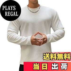 yz[Anmur] Y  TVc W ؃g X|[cEFA g[jOEFA tBbglX z Xgb` 㒅 {fBr H~ FFzCgATCYFM