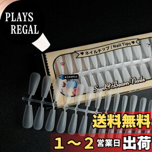 yzSun&Beam Nails lC`bv  lCp DIYp NA lC   t e [{bNXt 12TCY 504 FFRtB }bgATCYF?18×8×3.3cm