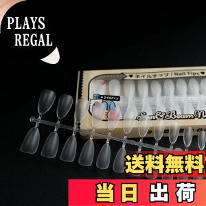 yzSun&Beam Nails lC`bv  lCp DIYp NA lC   t e [{bNXt 12TCY 504 FFA[h }bgATCYF?18×8×3.3cm