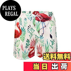 yz[MYJAJAYI]  Y nC T[tpc CpcCp Y 傫TCY ʋC   {[hV[c  FFt~SATCYF2XL