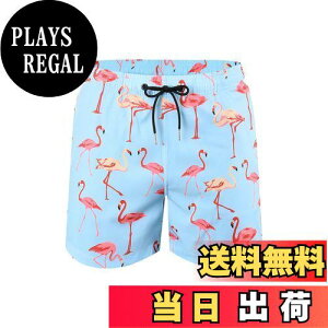 yz[MYJAJAYI]  Y nC T[tpc Cpc ppc   en {[hV[c  Zp FFWF̃t~SATCYFM Regular