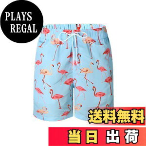 yz[MYJAJAYI]  Y nC T[tpc CpcCp Y 傫TCY ʋC   {[hV[c  FFF̃t~SATCYFS Regular