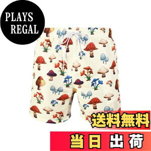 yz[MYJAJAYI]  Y nC T[tpc CpcCp Y 傫TCY ʋC   {[hV[c  FFLmRATCYFS Regular