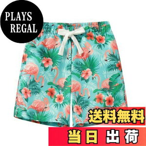 yz[LSMUDKINGDOM] n[tpc LbY j̎q  EGXgS An V[gpc qp nCA ][g  FFO[ATCYF110