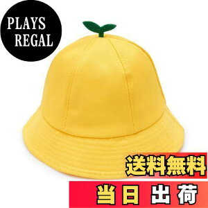 yzLSMUDKINGDOM ʈSXq LbY Xq ʉʊw w jp ˃e[vt FF킢ATCYF54.0 cm