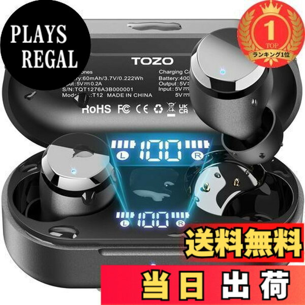 【送料無料】【楽天ランキング1位獲得】TOZO Tonal Dots (T12) ワイヤレスイヤホン【2024新登場 Bluetooth 5.3】ENC ノイズキャンセリング 専用アプリ LEDディスプレイ電池残量表示/55時間音楽再生/
