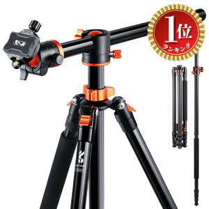 �y�y�V�����L���O1�ʊl���z�y���������zK&F Concept �J���� �O�r ��჌�t���S�����f ���ՎB�e�c �F�F�I�����W�A�T�C�Y�FT254A8+BH-28L