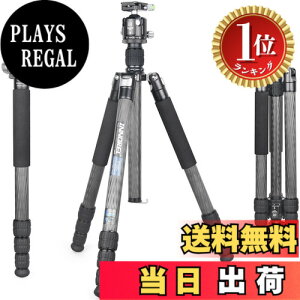 �y�y�V�����L���O1�ʊl���z�y���������zINNOREL RT85C �J�[�{�� �O�r �{�[���_�� �L�b�g 184CM �g���x���O�r �v���� �i�b�g���b�N�� �G���x�[�^�[�� �ω׏d 25KG �l�i�r ��r�ώ� �p�C�v�a32m