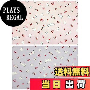 yzmiwaki `}bg z q ̎q wZ w 2 Zbg O^Ot { `[t  V}GiK p[v sN saku-PK-PU L