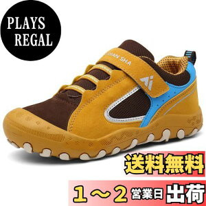 yz[Mishansha] Xj[J[ LbY gbLOV[Y ܐK[h Lv  nCLO q V[Y j̎q ̎q oRC 17.0 cm,CG[