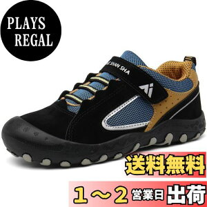 yz[Mishansha] Xj[J[ LbY gbLOV[Y ܐK[h Lv  nCLO q V[Y j̎q ̎q oRC (17.0cm,U[ubN)