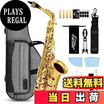 楽天市場】アルトサックス ケース（木管楽器｜管楽器・吹奏楽器  