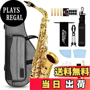 アルトサックス 初心者 入門セットの人気商品・通販・価格比較 - 価格.com