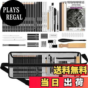 yzHIFORNY 60̃h[COLbg XPb`OMZbgAlA[eBXĝ߂3FXPb`ubNAOt@CgAؒYAh[COMt̃A[gpi