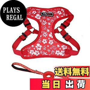 yzTHAINn[lX[hZbg   n[lX ^ h~  n[lX ^ pn[lX ^ bVn ʋC ̃n[lX [h  ԕ(M )