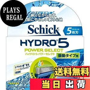 yzVbN Schick 5n nCh5 p[ZNg ֐n (4R) E J~\