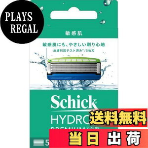 yznCh Schick(VbN) nCh5 v~A q ֐n (4R) XLK[ht 5n u[