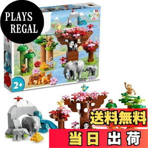 yzS(LEGO) fv fv̂܂ AWÂǂԂ 10974  ubN v[gc Ԃ  ǂԂ j̎q ̎q 2Έȏ