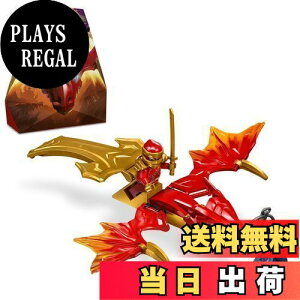 yzS(LEGO) jWS[ JC̃CWOEhS  ߋ v[g ubN j̎q ̎q q 5 6 7 8 w hS E ɂ񂶂 V 71801