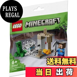 yzSiLEGO) }CNtg ߓ ~jZbg 30647