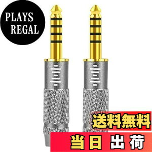 �y���������zGeekria �ϊ��v���O �\�j�[ Sony NW-WM1A NW-WM1Z NW-ZX300A PHA-2A TA-ZH1ES ���ɓK�p��5�� 4.4mm�̋����b�L�A�_�v�^ (4.4mm (�I�X)-3.5mm (���X) 1 �� + 4.4mm (�I�X)-2.5mm (���X) 1 ��) �Z�b�g