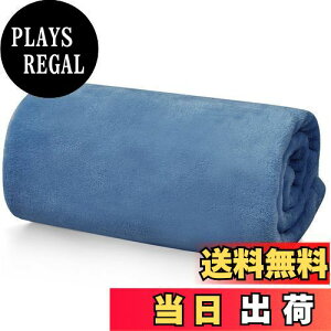 yzHansleep ѕz  Ђ| ~p Ђ G| uPbg ʋC n[tPbg }CNt@Co[ _炩G g tl 􂦂 Ódh~ lGKp (70x100,X