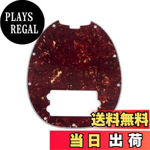 yzMusiclily 9 Musicman Stingray x[Xp sbNK[h A4vC