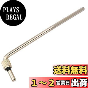 yzMusiclily Pro 6mm X`[gA[  tCh[Y GLM^[pAS[h