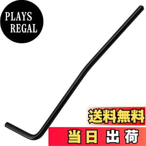 yzMusiclily Pro 5.5mm X`[gA[  XggGLM^[pAubN