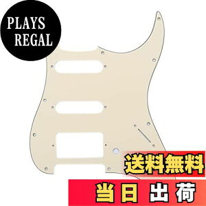 yzMusiclily SSH 11 ST^CvsbNK[h USA/LVRXggGLM^[p AN[3P